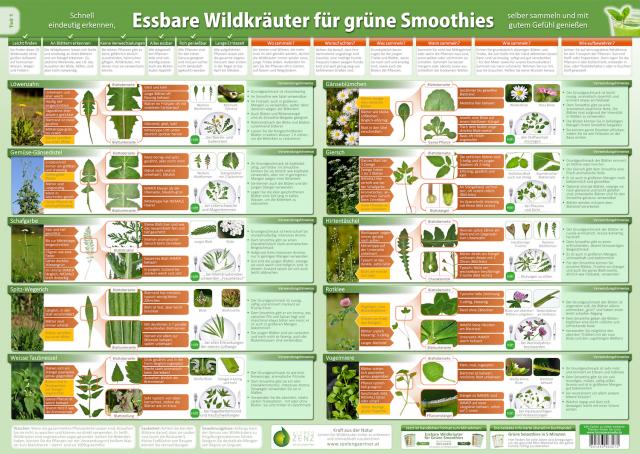 Essbare Wildkräuter für Grüne Smoothies Teil 1 - Wandposter (2024)