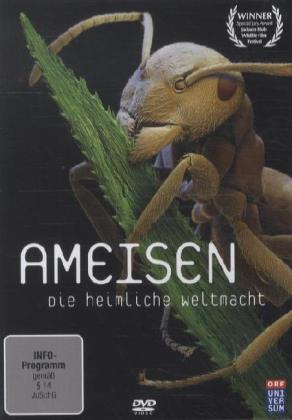 Ameisen - Die heimliche Weltmacht, 1 DVD