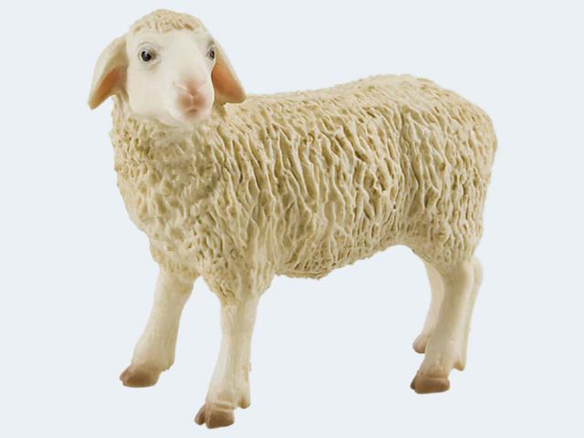 Schaf, Spielfigur