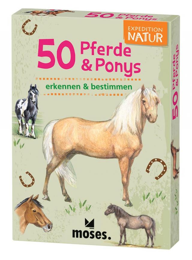 Expedition Natur 50 Pferde & Ponys