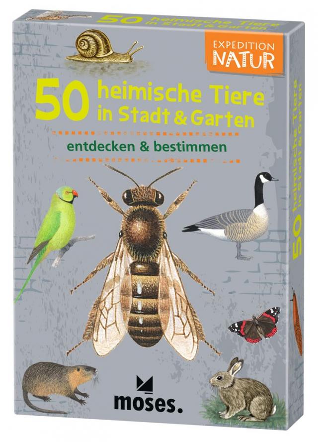 Expedition Natur 50 heim. Tiere in Stadt & Garten