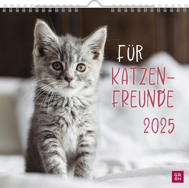 Wandkalender 2025: Für Katzenfreunde