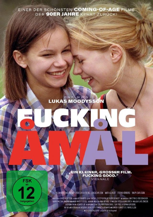 Fucking Åmål, 1 DVD