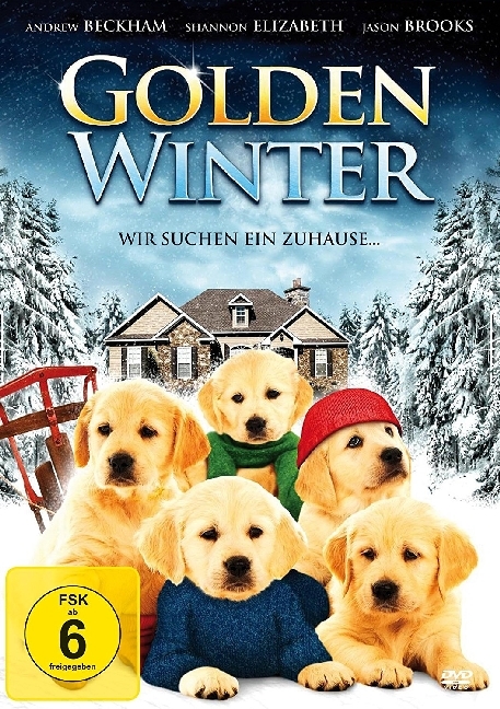 Golden Winter, 1 DVD