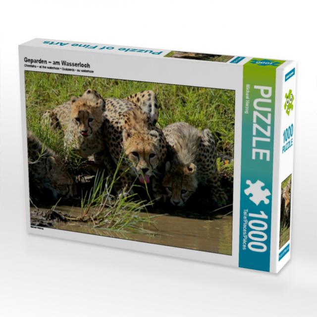 Geparden - am Wasserloch (Puzzle)