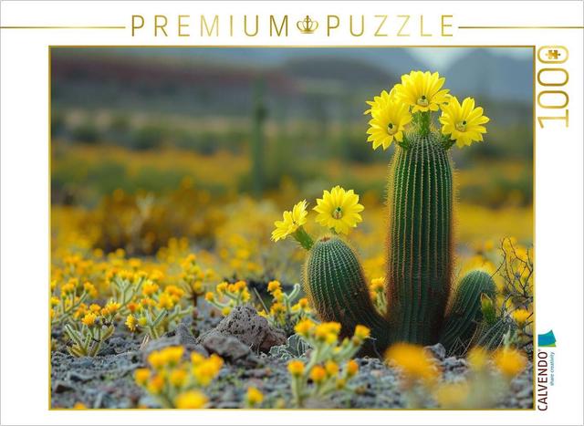 CALVENDO Puzzle Gelb blühende Kakteen | 1000 Teile Lege-Größe 64x48cm Foto-Puzzle für glückliche Stunden