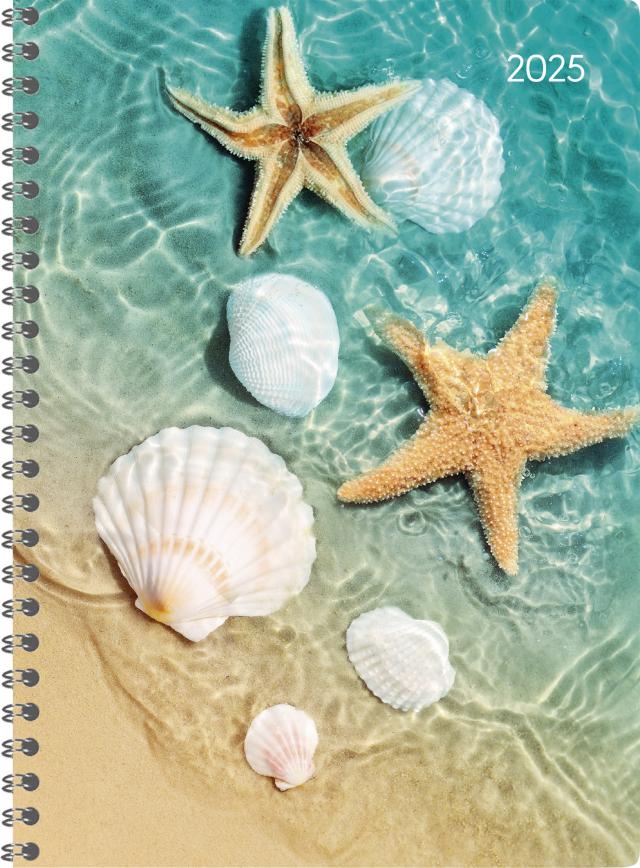 Alpha Edition - Ladytimer Ringbuch Beach 2025, 15x21cm, Kalender mit 128 Seiten, Kalender mit einem Adressteil, Übersichten und internationalem Kalendarium, Wochenübersicht auf 2 Seiten