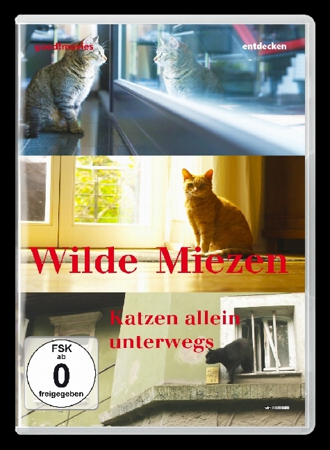 Wilde Miezen - Katzen allein unterwegs, 1 DVD