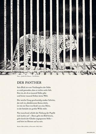 Der Panther, Poesie Plakat