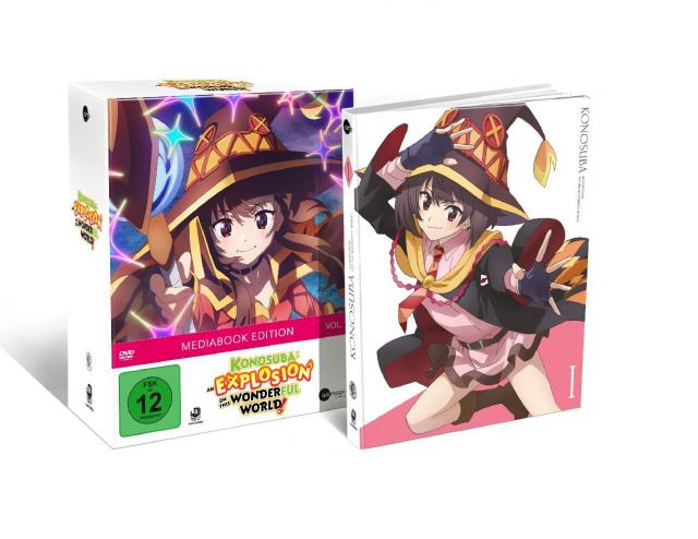 An Explosion On This Wonderful World, 1 DVD