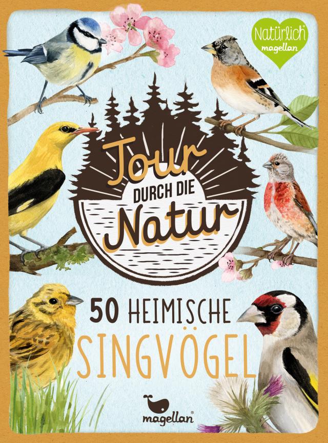 Tour durch die Natur - 50 heimische Singvögel