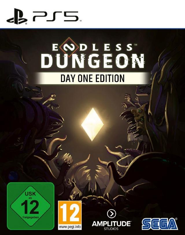 Endless Dungeon, PS5, 1 PS5-Blu-Ray-Disc (Day One Edition)