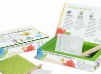 Green Kit - Der Schmetterlingsgarten