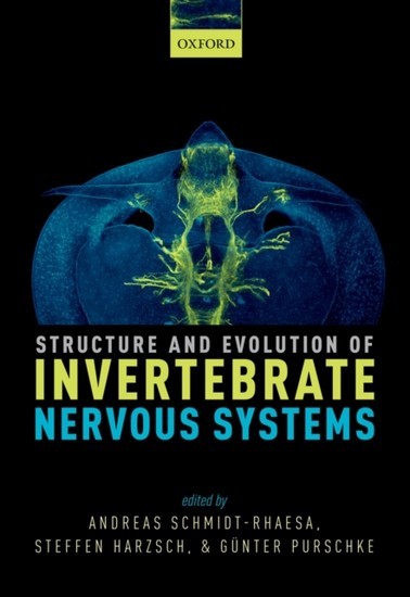 Structure and Evolution of Invertebrate Nervous Systems