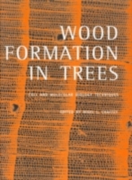 Wood Formation in Trees