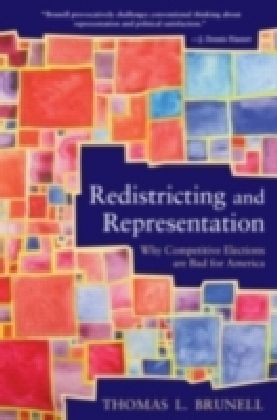 Redistricting and Representation