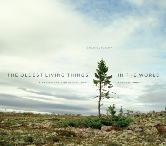 Oldest Living Things in the World