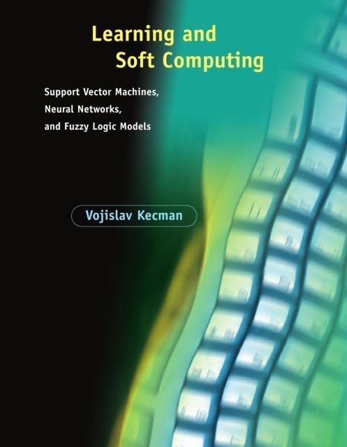 Learning and Soft Computing