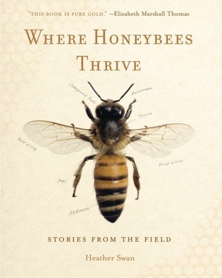 Where Honeybees Thrive