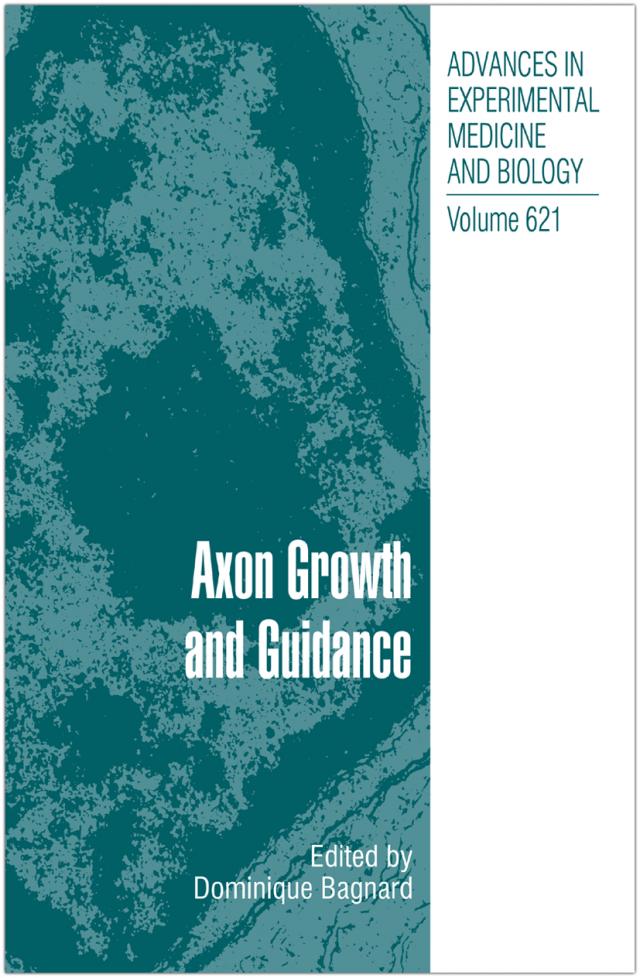 Axon Growth and Guidance