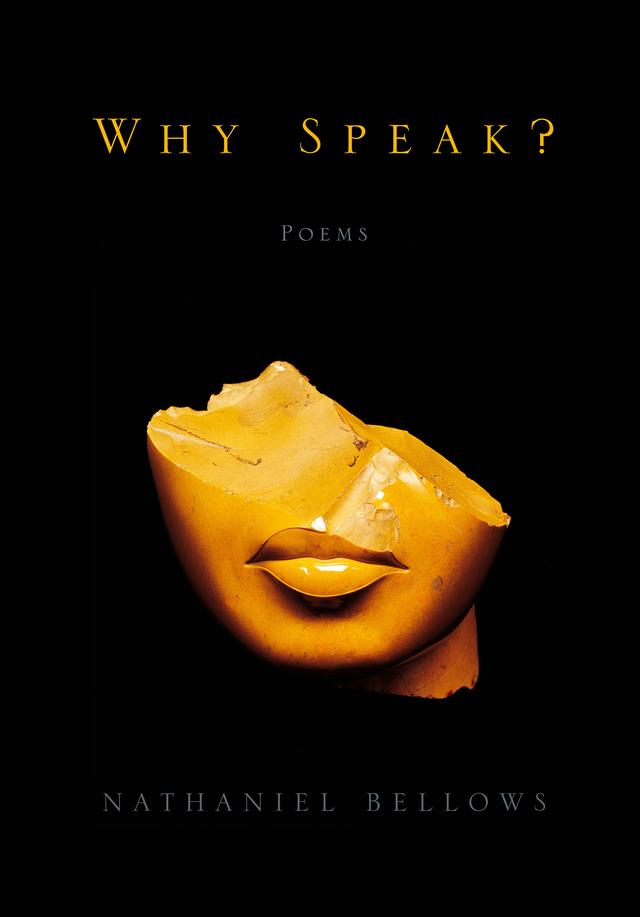 Why Speak?: Poems