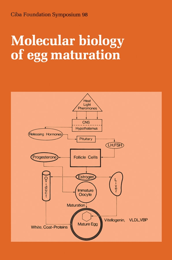 Molecular Biology of Egg Maturation