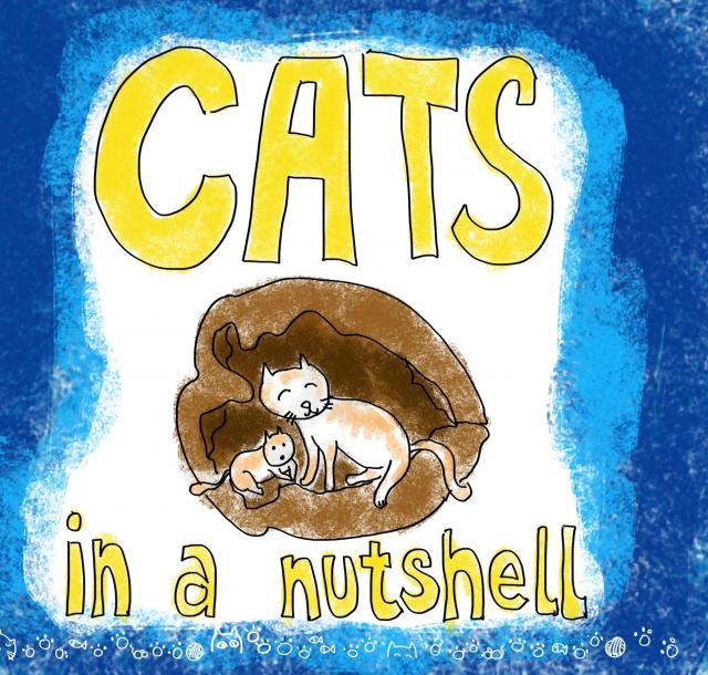 Cats in a Nutshell