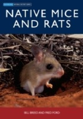 Native Mice and Rats