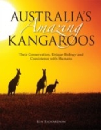 Australia''s Amazing Kangaroos
