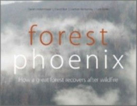 Forest Phoenix