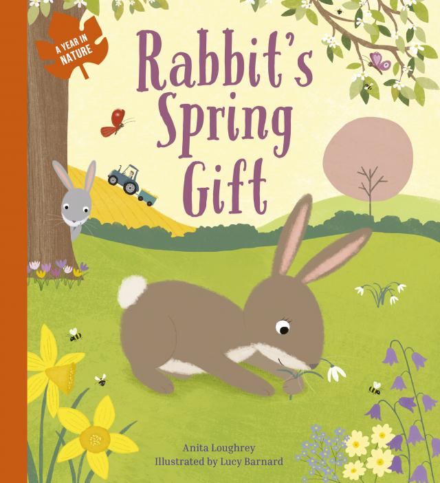 Rabbit's Spring Gift
