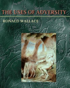 Uses Of Adversity