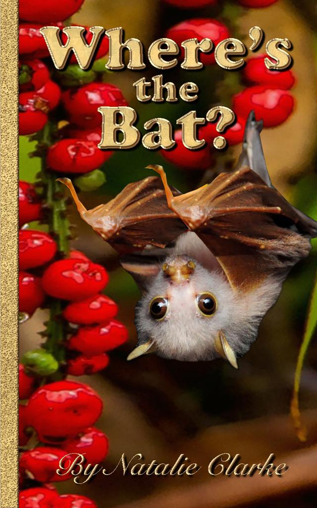 Where's the Bat?