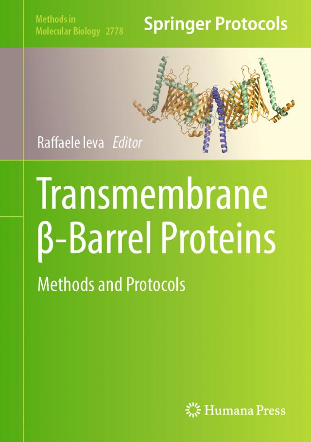 Transmembrane β-Barrel Proteins