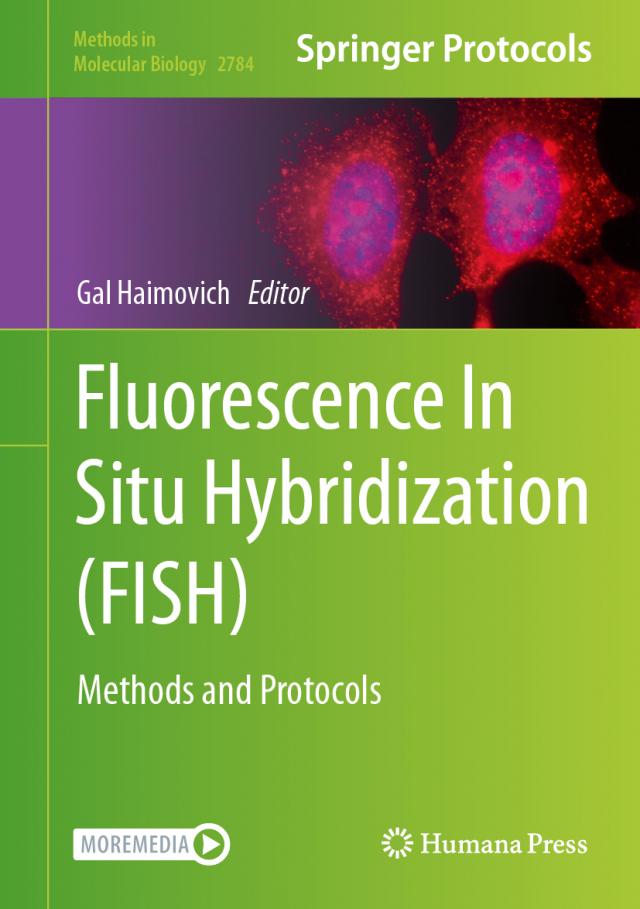 Fluorescence In Situ Hybridization (FISH)