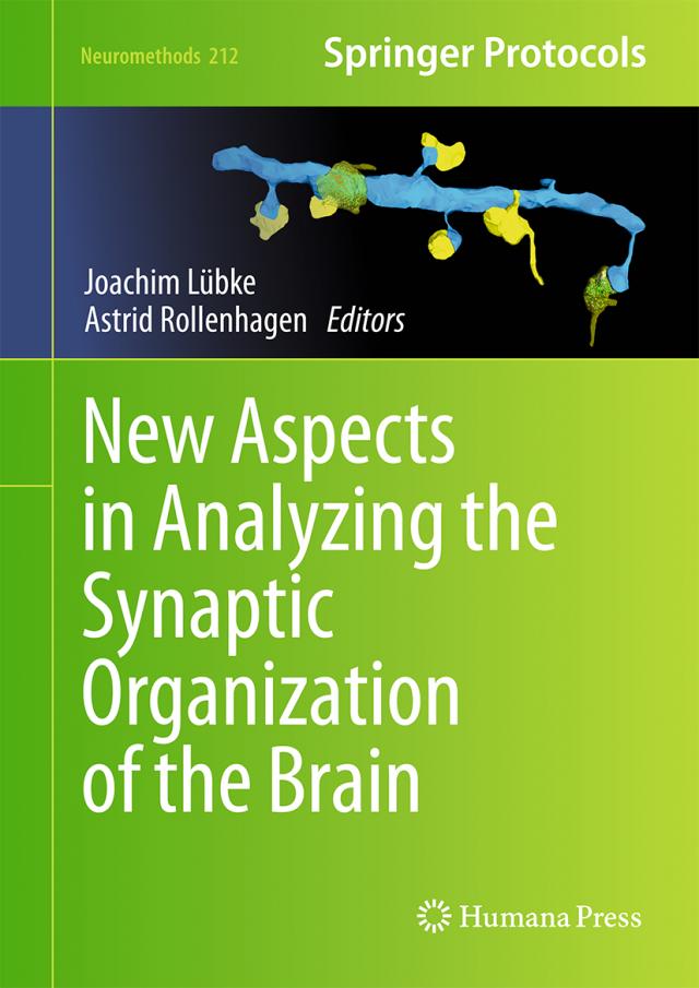 New Aspects in Analyzing the Synaptic Organization of the Brain