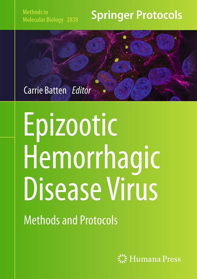 Epizootic Hemorrhagic Disease Virus