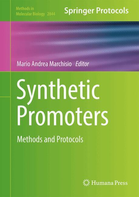 Synthetic Promoters