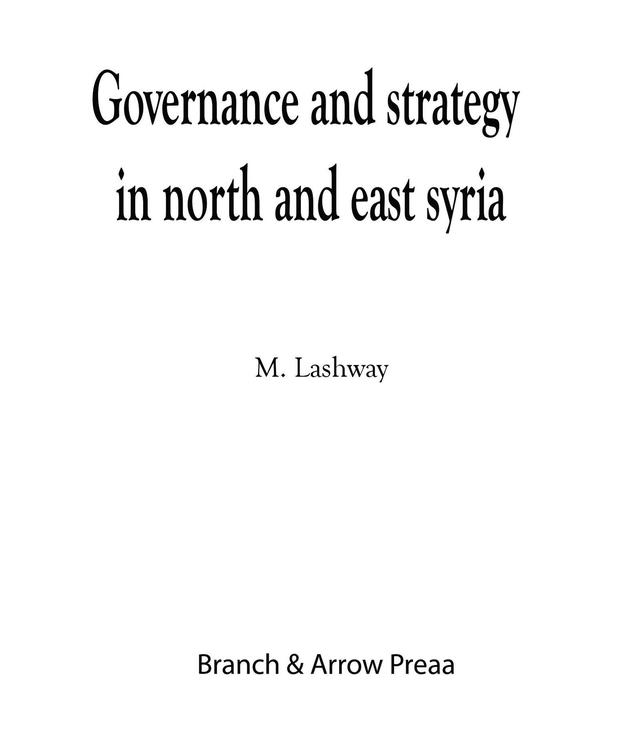 Political Governance And Strategy In North And East Syria