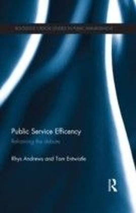 Public Service Efficiency