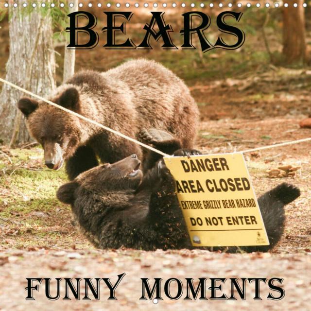 Bears funny moments (Wall Calendar 2023 300 × 300 mm Square)