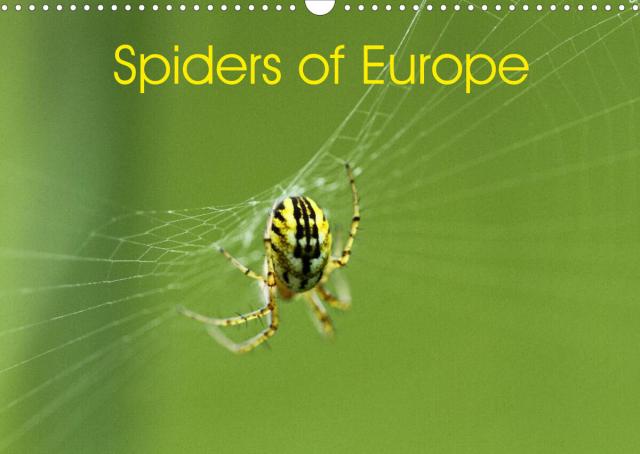 Spiders of Europe (Wall Calendar 2023 DIN A3 Landscape)