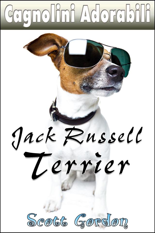 Cagnolini Adorabili: I Jack Russell Terrier