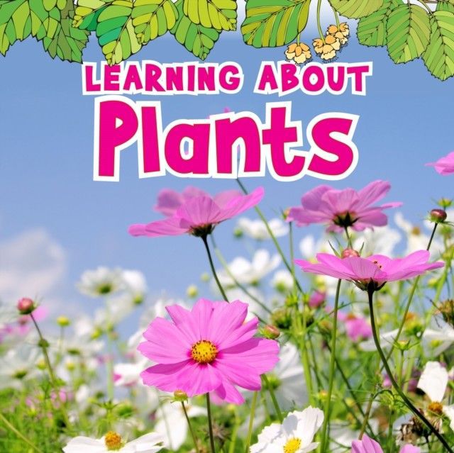 Learning About Plants