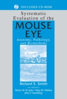 Systematic Evaluation of the Mouse Eye