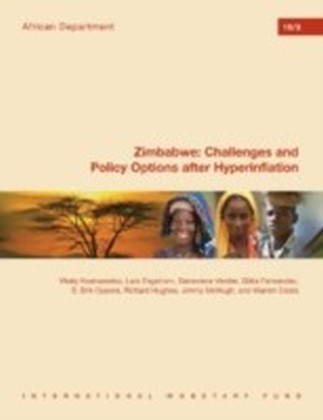 Zimbabwe: Challenges and Policy Options after Hyperinflation
