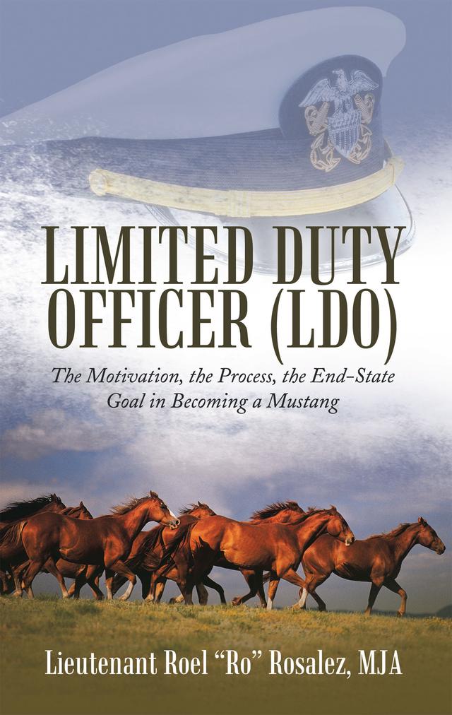 Limited Duty Officer (Ldo)
