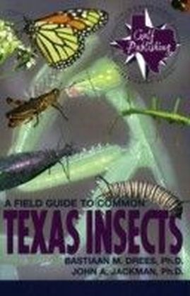 Field Guide to Common Texas Insects