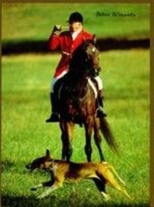 Foxhunting with Melvin Poe
