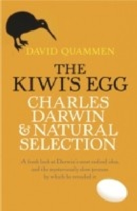 Kiwi's Egg